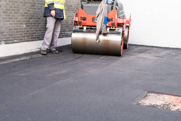 Best Brick Driveway Installation  in Nolanville, TX